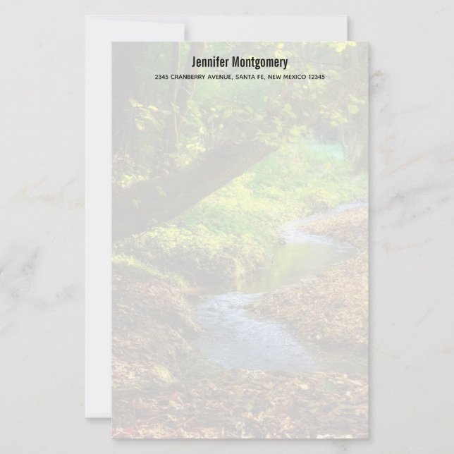 Forest Creek Belle nature Paysage Photo (Devant)