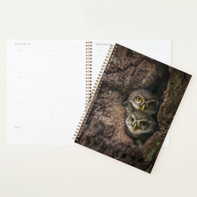 Forest | Deux Owls Looking (Devant avec enveloppe)