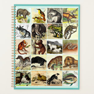 Forest, Jungle And Ocean Animal Collage sheet Art