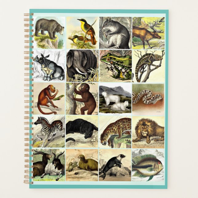 Forest, Jungle And Ocean Animal Collage sheet Art  (Devant)