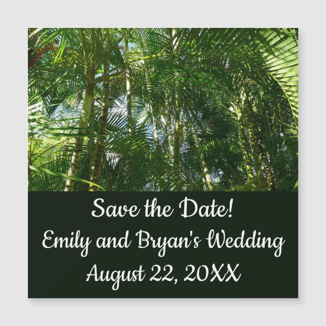 Forest of Palm Trees Tropical Nature (Devant)