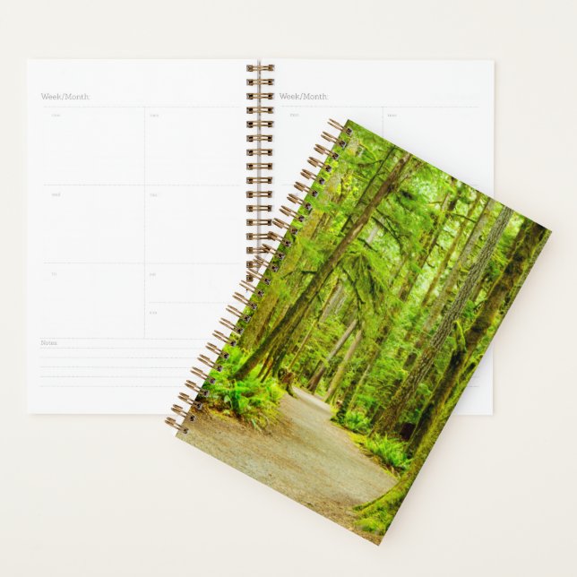 Forest | Parc national olympic (Devant avec enveloppe)