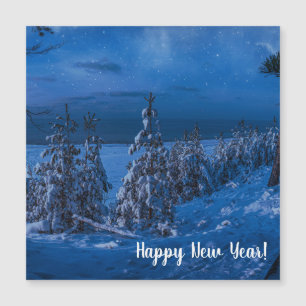 Forest path at winter night