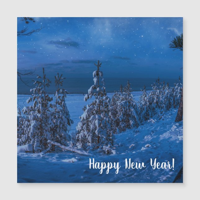 Forest path at winter night (Devant)