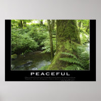 FOREST STREAM Nature Photo Poster Print