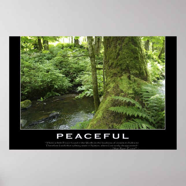 FOREST STREAM Nature Photo Poster Print (Devant)