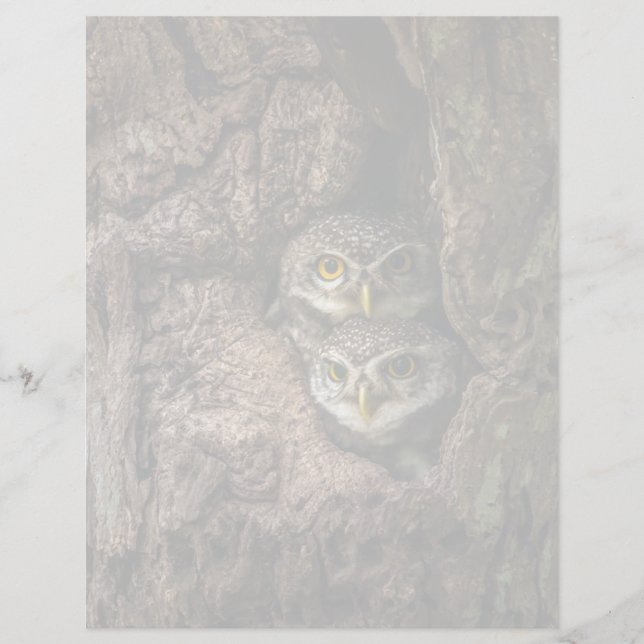 Forests | Two Owls Looking (Devant)