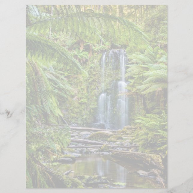 Forêt | Beauchamp Falls Australie (Devant)
