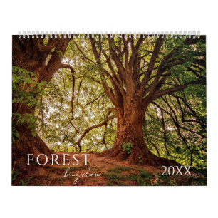 Forêt Bois Paysage Calendrier des quatre saisons