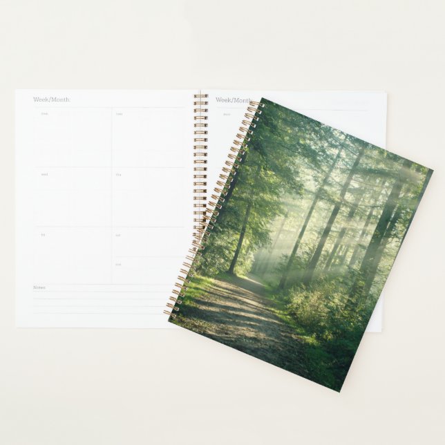 Forêt | Chemin forestier Hambourg Allemagne (Devant avec enveloppe)