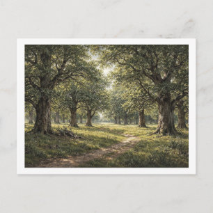 Forêt de chênes. Carte postale