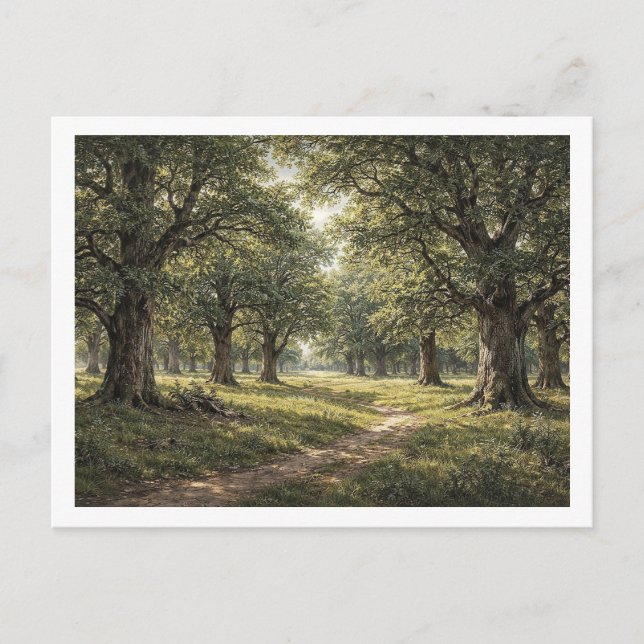 Forêt de chênes. Carte postale (Devant)