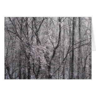 Forêt de l'épaisse glacée dans la lumière du matin