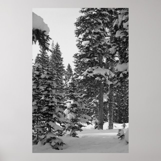 Forêt de neige Poster noir et blanc (Devant)