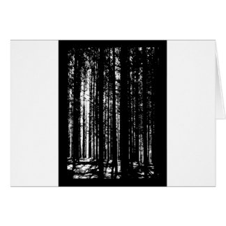 forêt de pin