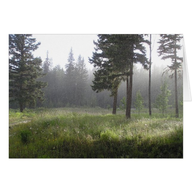 Forêt de Sunrain (Devant horizontal)