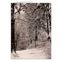 Forêt d'hiver (5.0)