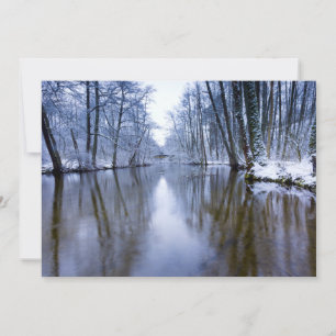 Forêt d'hiver avec beau ruisseau