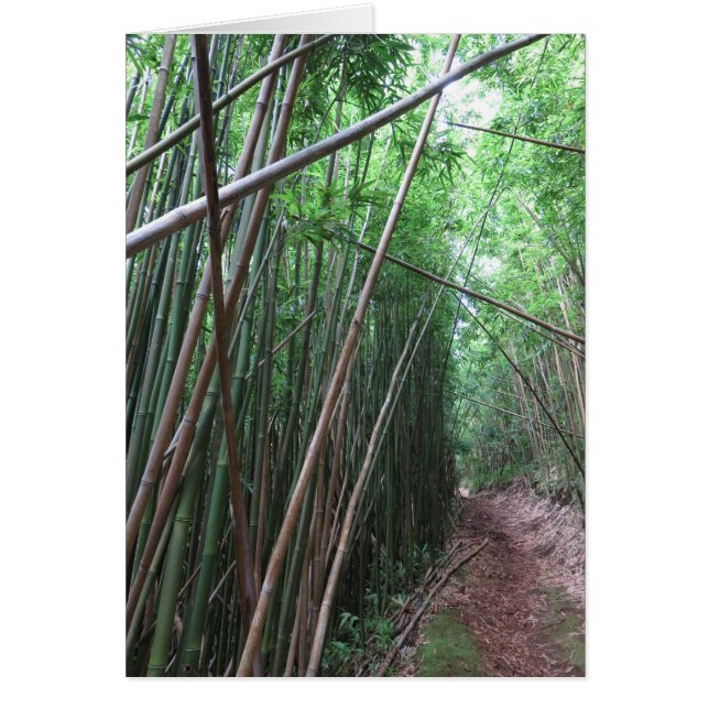 Forêt en bambou (Devant)
