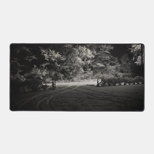 Forêt enneigée la nuit (Recto)