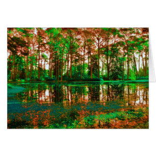 Forêt Fantastique par Shirley Taylor