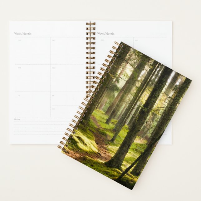 Forêt | Forêt boréale Suède (Devant avec enveloppe)