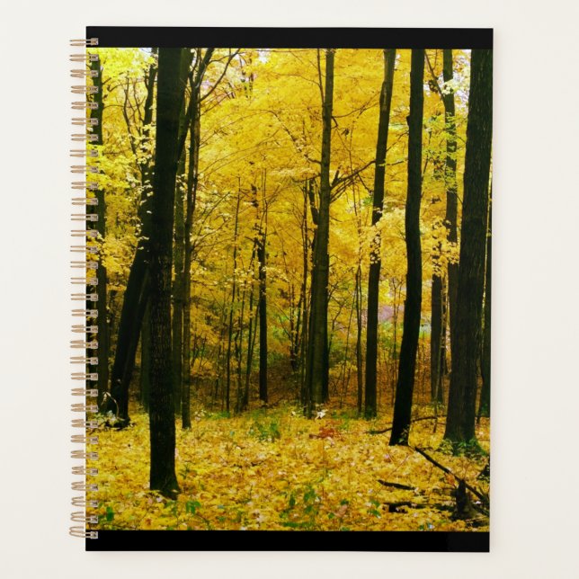 Forêt jaune d'automne (Devant)
