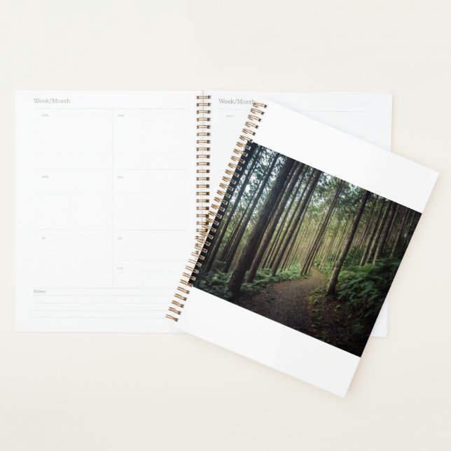 Forêt | Montagnes de Wakayama Japon (Devant avec enveloppe)