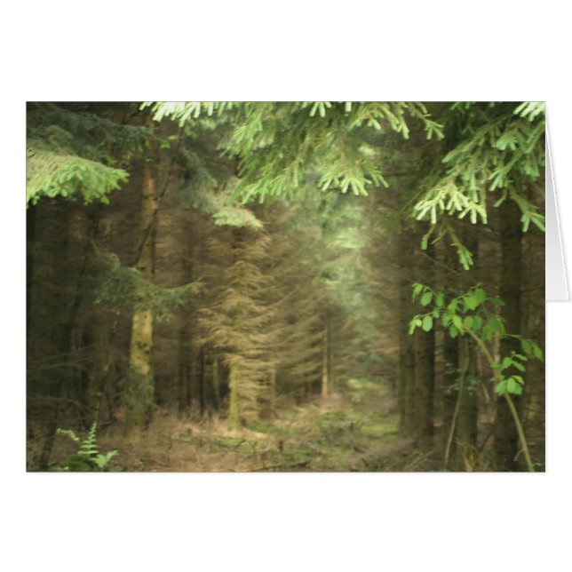 forêt mystérieuse (Devant horizontal)