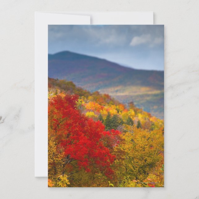 Forêt nationale de White Mountains (Devant)