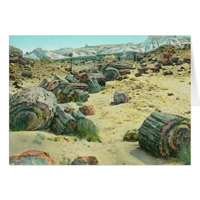 Forêt Petrified (Devant horizontal)