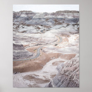 Forêt Pétrifiée, Affiche de Photo de Paysage Désol