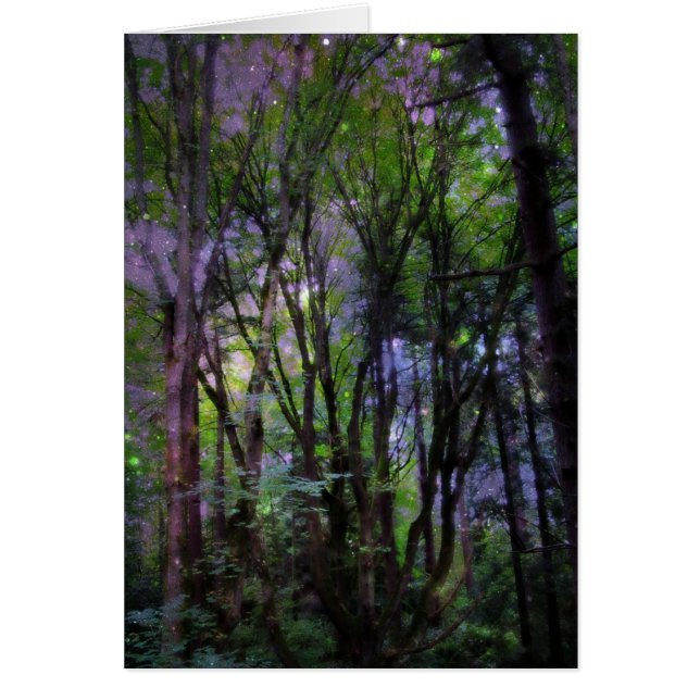 Forêt surnaturelle de Fairy Lights (Devant)