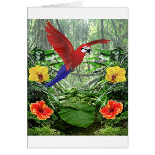 Forêt tropicale tropicale