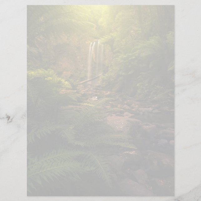 Forêts | Cascade ensoleillée (Devant)
