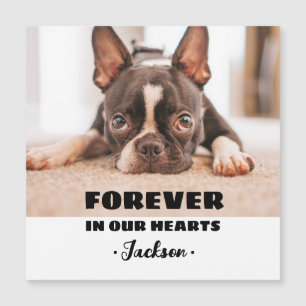 Forever In our Hearts Pet Memorial Carte magnétiqu