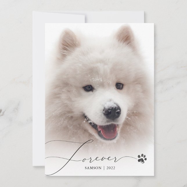 Forever Simple Script Pet Memorial Photo Merci (Devant)