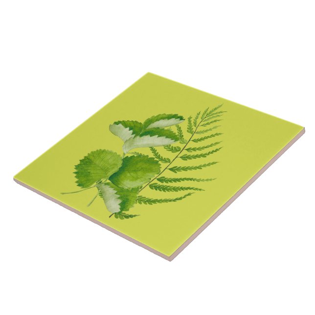 Formes en vert sur carreaux en céramique (Côté)