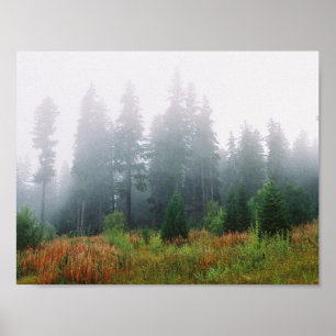 Forrest Fog Pine Arbres Valeur Poster Papier