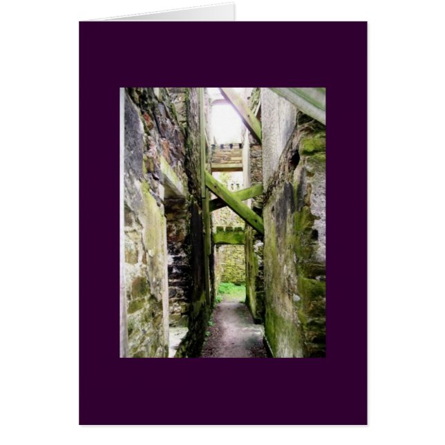Fort Saint-Charles, Irlande (Devant)