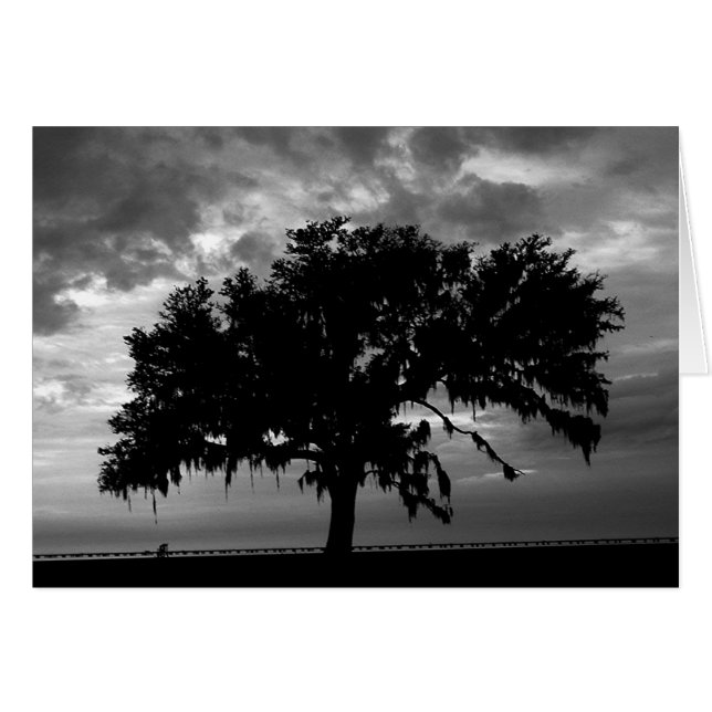 Forte comme chêne (Devant horizontal)