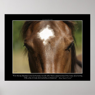 FORTUNATE ~ Chestnut Horse Photo Poster