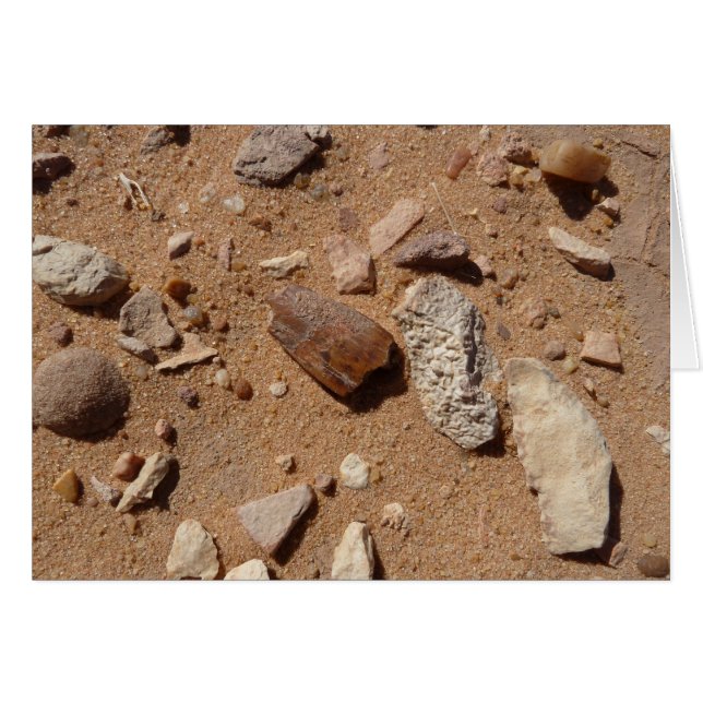 Fossile dans le dessert (Devant horizontal)