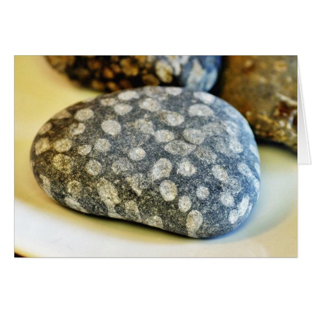 Fossiles Rocks Corail (Devant horizontal)