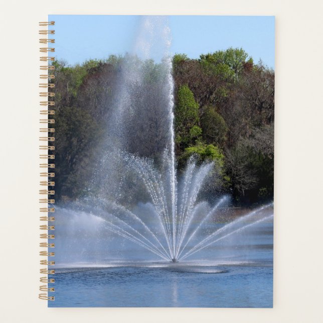 Fountain on a Lake (Devant)