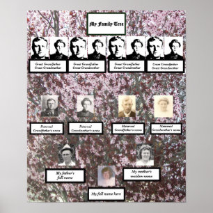 Four Generation Pink Blossom Family Tree Poster