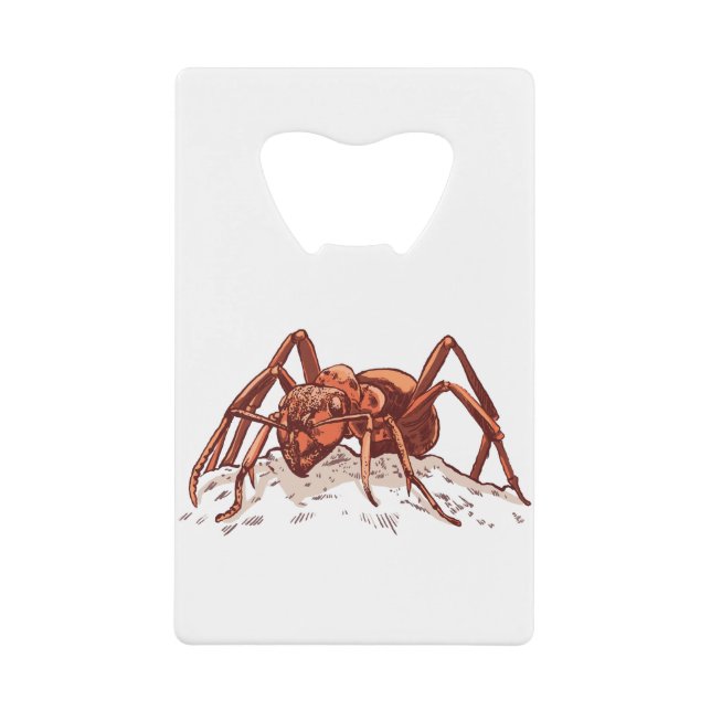 Fourmi Insecte Courageuse (Devant)
