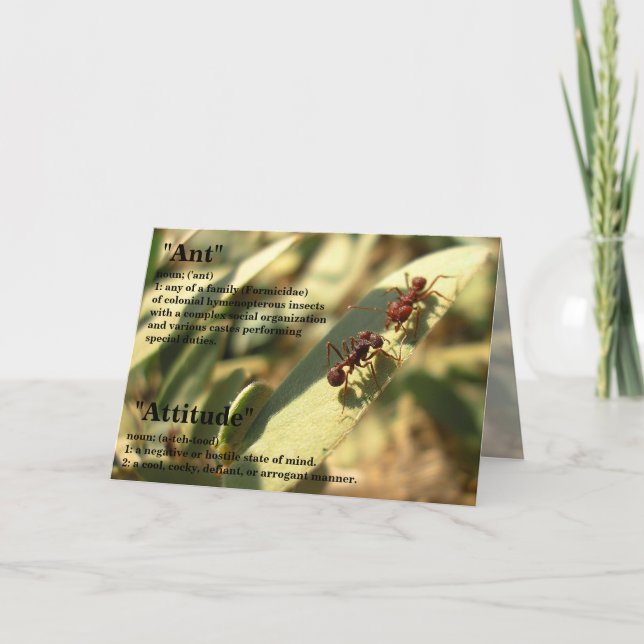 Fourmis et attitude - Carte de voeux #2 (Devant)