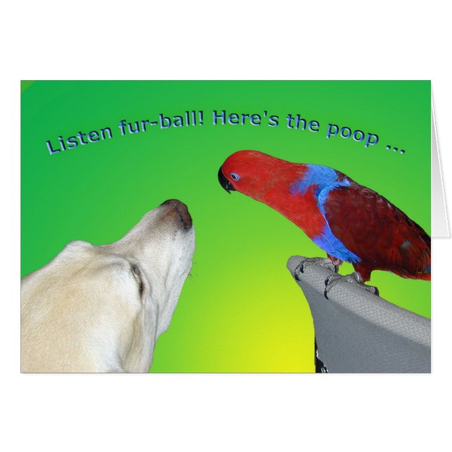 Fourrure-ball (Devant horizontal)