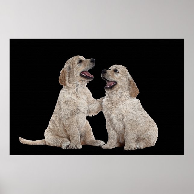 Fourrure Compagnons 36 x 24 Poster (Devant)